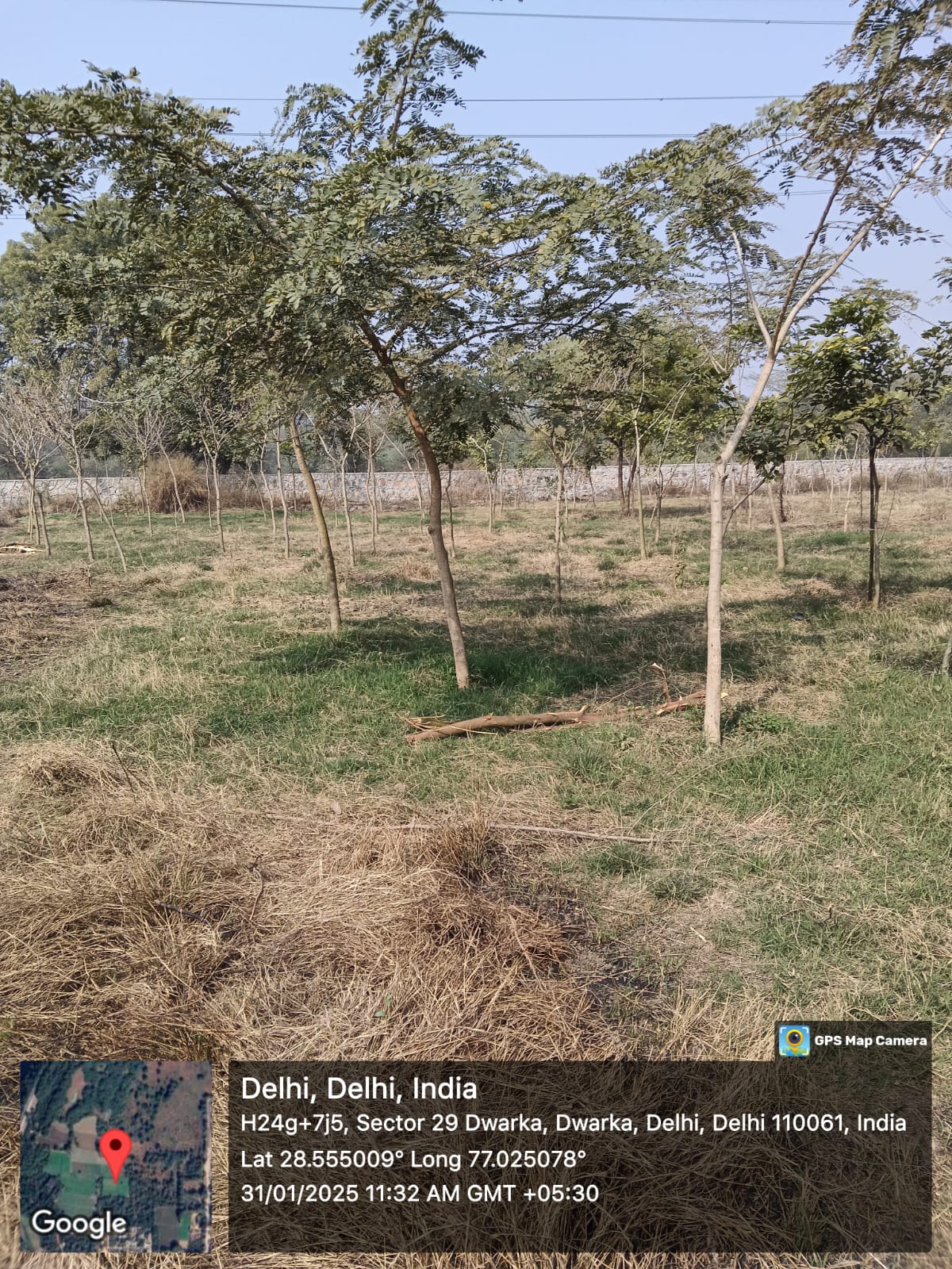 Compensatory Afforestation